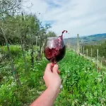 Montecorboli 팜스테이 바르베리노 디 발 델사