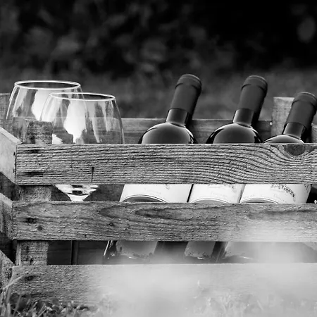 Montecorboli Farm stay *